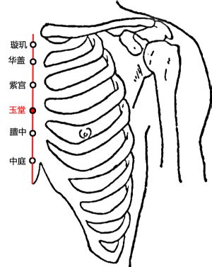 玉穴|玉堂穴